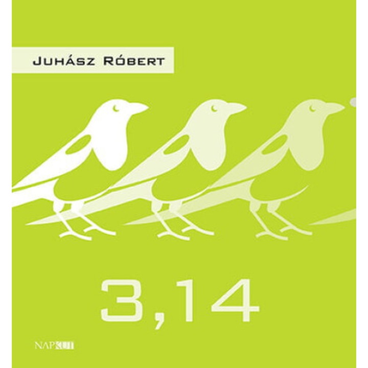 Juhász Róbert: Juhász Róbert: 3,14