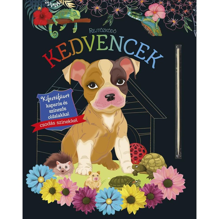 Napraforgó Könyv: Rejtőzködő kedvencek