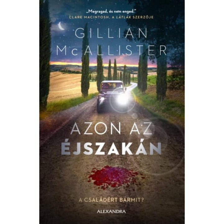 Gillian McAllister: Azon az éjszakán - A családért bármit