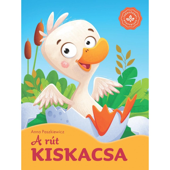 Anna Paszkiewicz, Arleta Strzeszewska: A rút kiskacsa – Kedvenc meséim