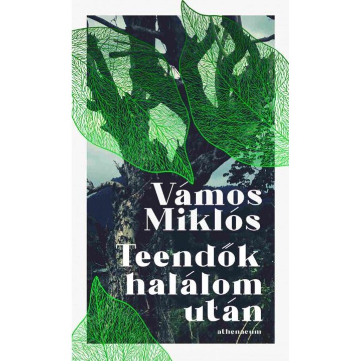 Vámos Miklós; Teendők halálom után