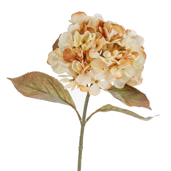 Floare Artificiala, Hortensie, Tulpina Lunga, Culoare Bej Roz, Inaltime 66cm