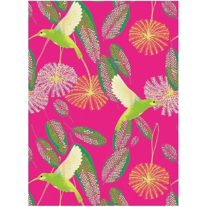 Karnet B6 cu coperta Hummingbirds, Museums & Galleries, 180x130mm