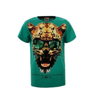 Tricou baieti, cu imprimeu 3D, verde Tricou baieti, cu imprimeu 3D, verde