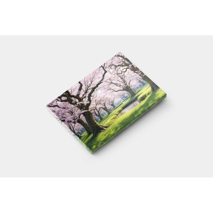 Картина на платно - Cherry Blossom Tree Park Pond - 70x100 cm