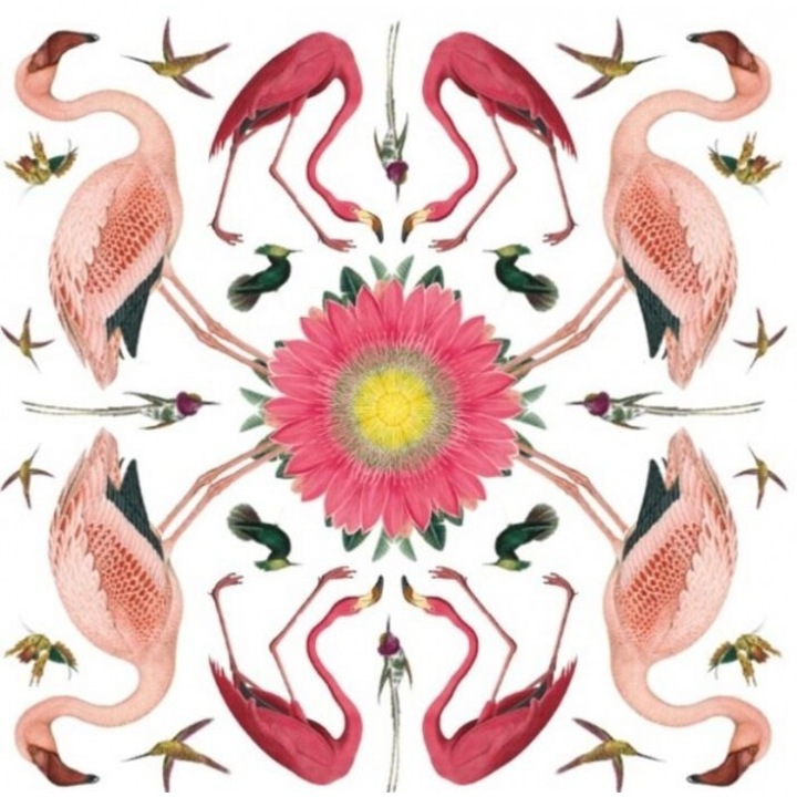 Karnet kwadrat cu coperta White-throated Toucan, Museums & Galleries, 163x163 mm, folia