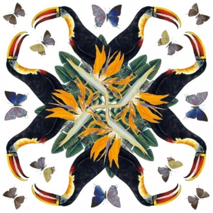 Karnet kwadrat cu coperta White-throated Toucan, Museums & Galleries, 163x163mm, folie