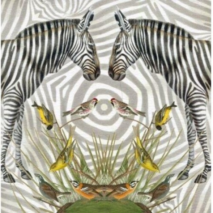 Karnet kwadrat cu coperta Zebra, Museums & Galleries, 163x163 mm, folie
