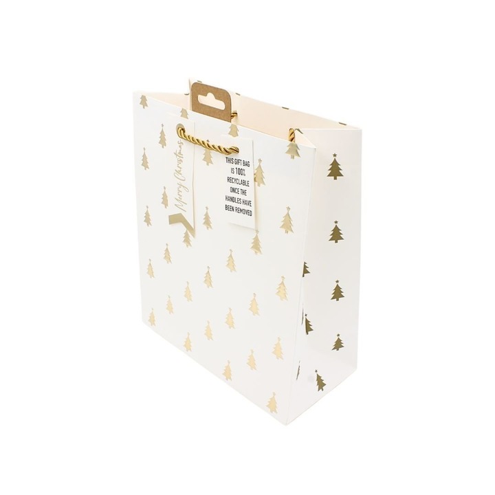 Подаръчна хартиена торбичка, колекция Clairefontaine от Eurowrap, 25x21, 5 см, 10 см духало, релеф Brazi