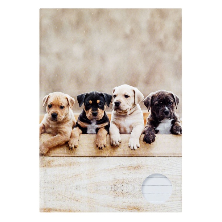 Diktáló diákfüzet, kiskutyamodell, A4-es méret, 60 lap