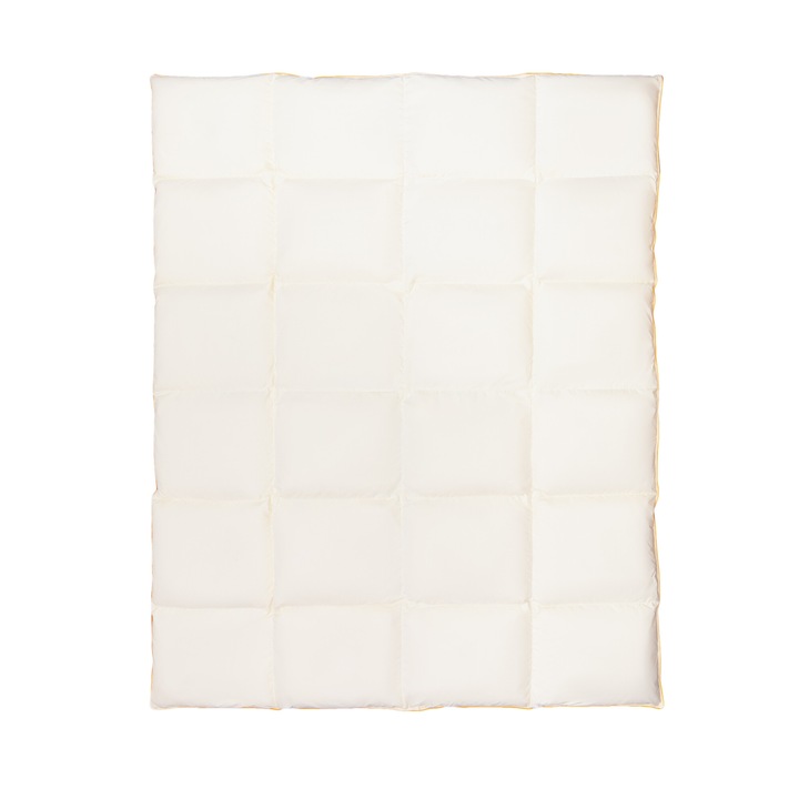 Pilota cu Pene 150x200 Standard, Pentru toate Anotimpurile, 100% Bumbac, Ecru, 90% Pene, 10% Puf