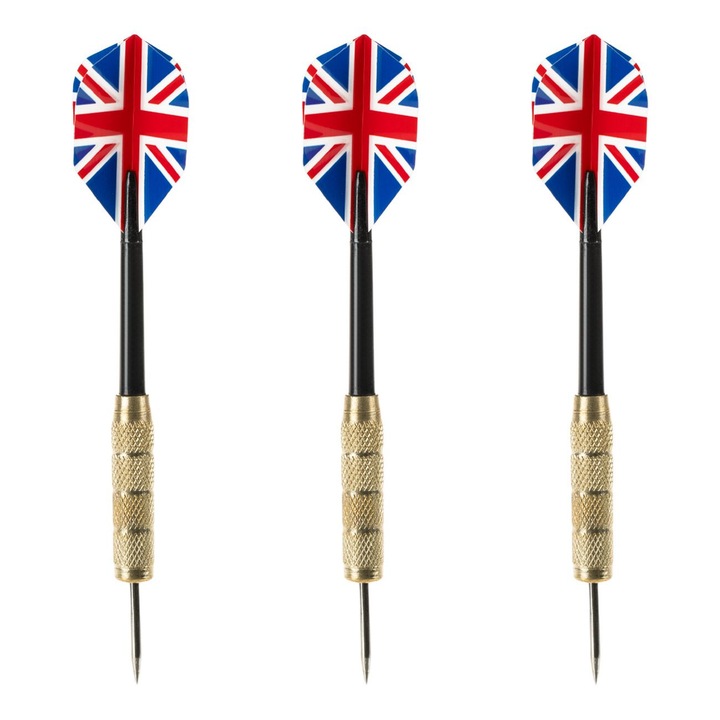 Sageti cu husa pentru joc de darts - 3buc