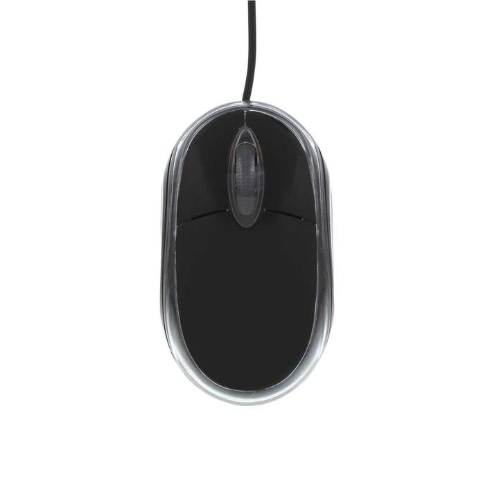 Mouse, TNB, 3 butoane