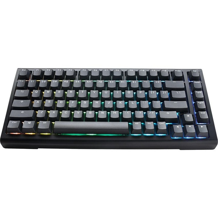 Механична клавиатура Ducky Tinker 75%, USB, RGB осветление, черна, 330x155x45mm, немска