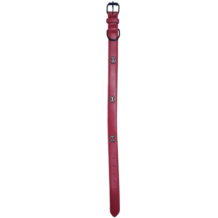 Ökológiai bőr nyakörv csontokkal, Vision XXI, piros, 2,5 cm, állítható 39-48 cm