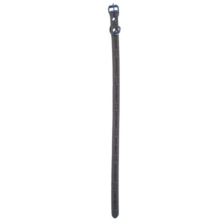 Ökológiai bőr nyakörv írással, Vision XXI, matt bézs, 1,5 cm, állítható 27-36 cm
