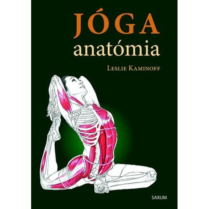 JÓGA ANATÓMIA