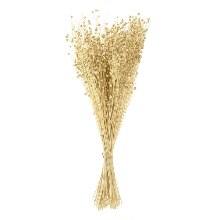 Buchet Decorativ, Crengute Artificiale, Boboci Crem, 50cm