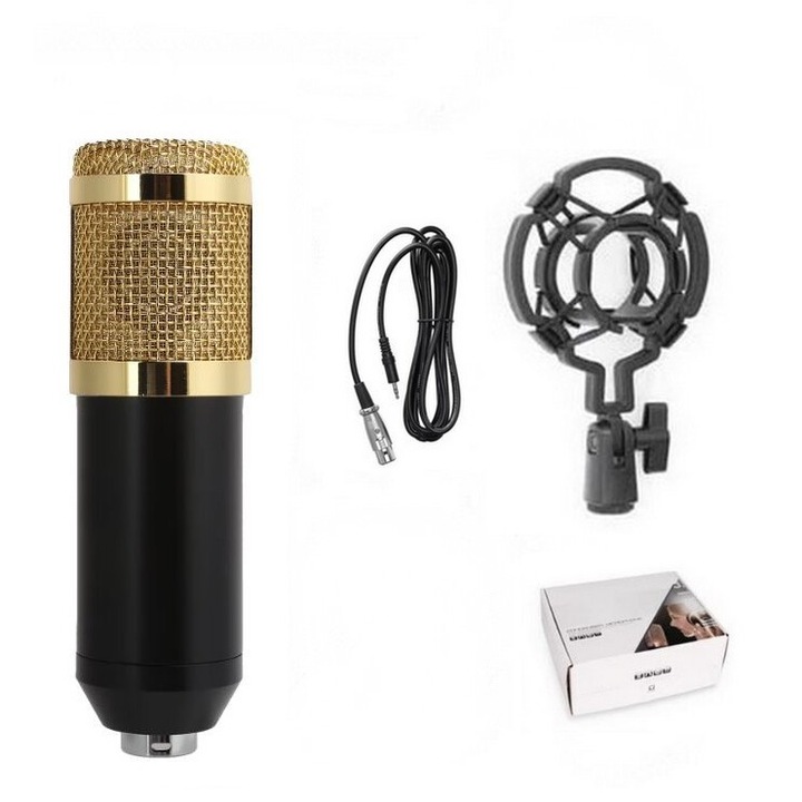 Microfon condensator pentru studio, cu cablu, negru/auriu