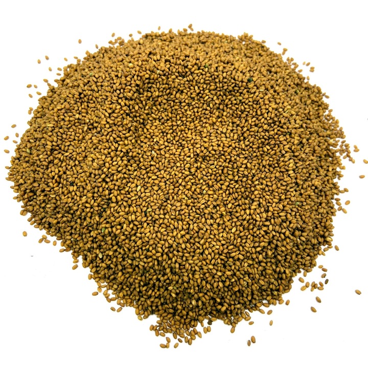Seminte De Camelina, Agrest, 1kg, Sursa Excelenta De Acizigrasi Omega-3, Perfecte Pentru Presare La Rece Sau Consum Direct, Produs Natural