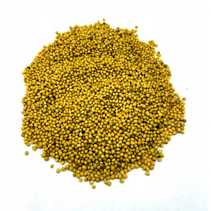 Boabe de mustar, Agrest, 500g, ambalare DoyPack