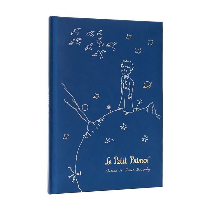 Caiet A5 90 file cu pagini albe The Little Prince, Grupo Erik