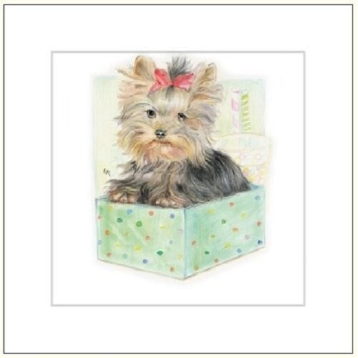 Karnet 16x16 G04 41G 055 cu coperta Pies rysowany, DaVinci, 160x160mm, folie