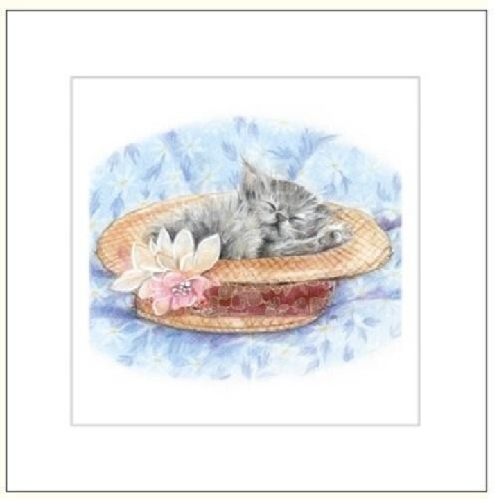 Karnet 16x16 G04 41G 052 cu koperta Kot rysowany, DaVinci, 160x160mm, folie