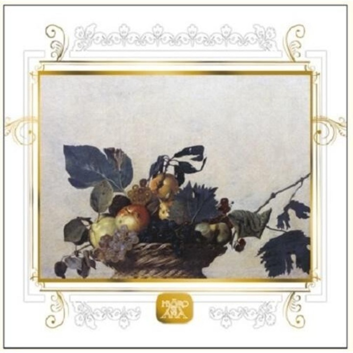 Karnet 16x16 B-2W 515 005 cu coperta Owoce, DaVinci, 574x172mm