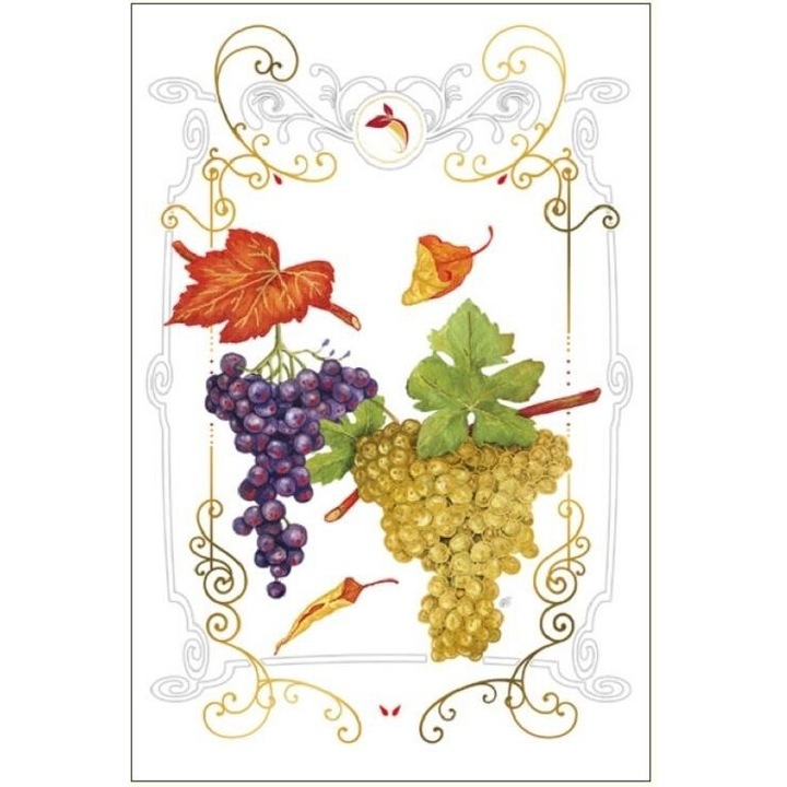 Karnet 12x18 B-BD 502 060 cu coperta Winogrona, DaVinci, format 120x180 mm, folie