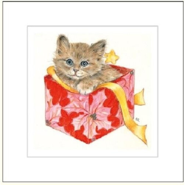 Karnet 16x16 G04 41G 054 cu coperta Kot rysowany, DaVinci, 160x160mm, folie