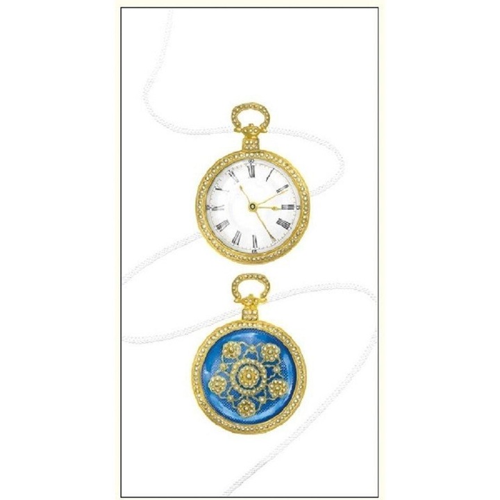 Karnet 12x23 G05 41A 027 cu koperta Busola 7, DaVinci, format 120x230 mm, oprawa folia