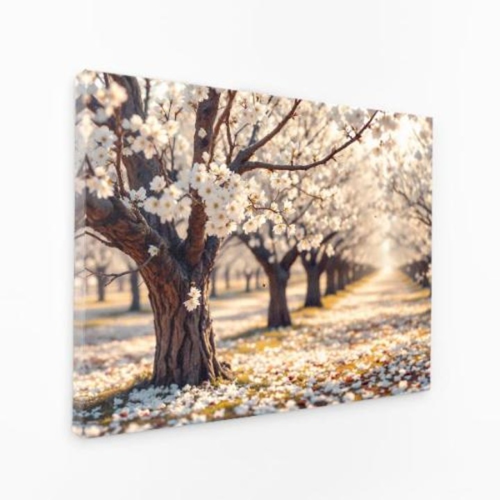 Vászonfestmény - Cseresznyevirágok Napfényben - 50x100 cm