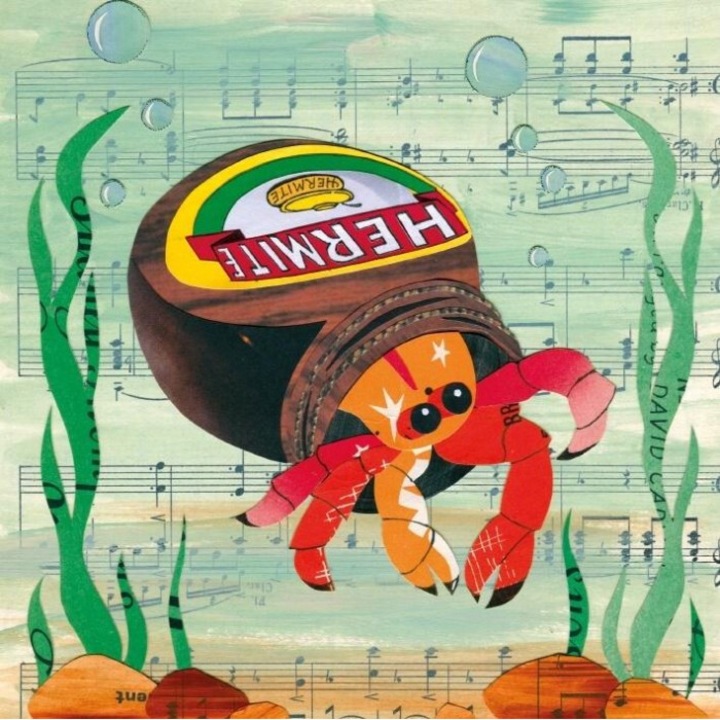 Karnet kwadrat cu coperta Hermite Crab, Museums & Galleries, 170x170 mm, folie