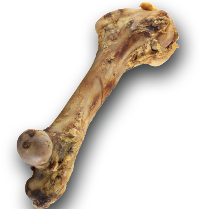 Recompensa pentru Caini JACK os/tibie de vita 30-35 cm “M”