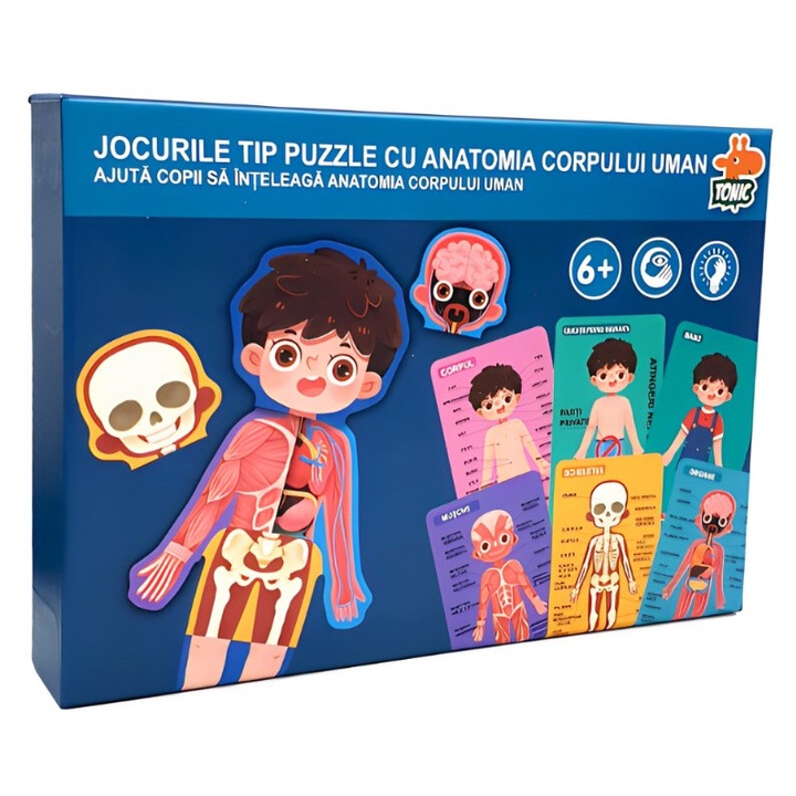 Set educativ corpul uman baietel, dimensiune 24cm x 17cm x 4cm, REC2944