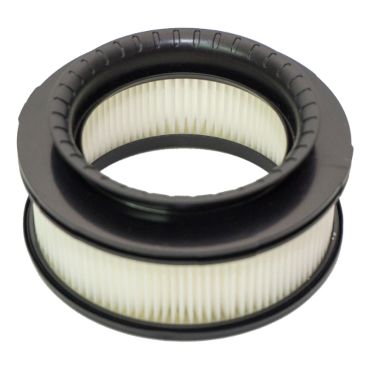 Filtru pentru Rowenta X-Force Flex RH9890WO ZR009008