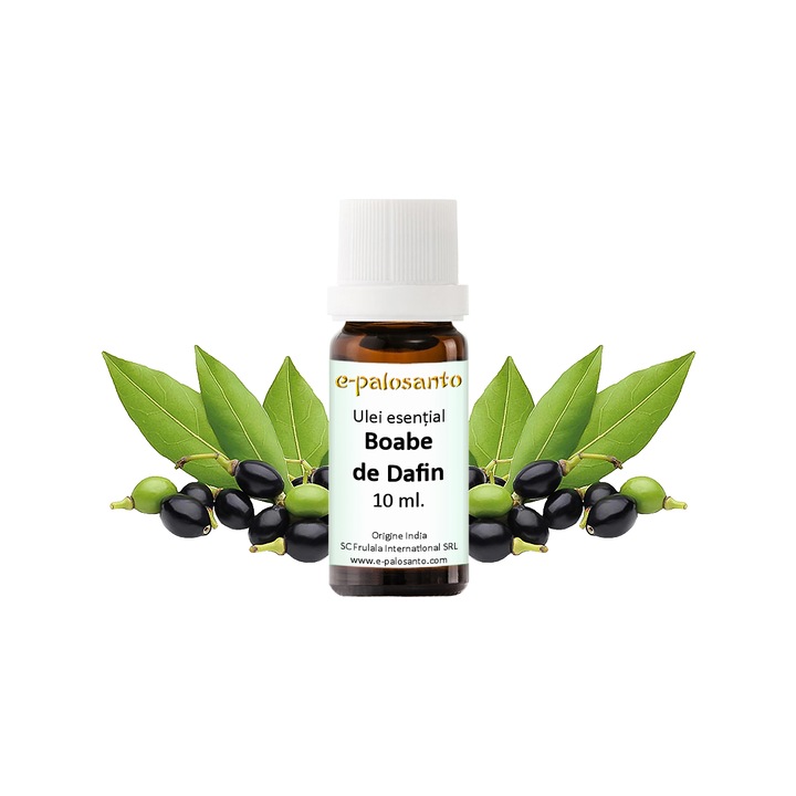 Ulei esential Boabe de Dafin (Laurus nobilis), puritate 100%, 10 ml, aromaterapie, e-palosanto
