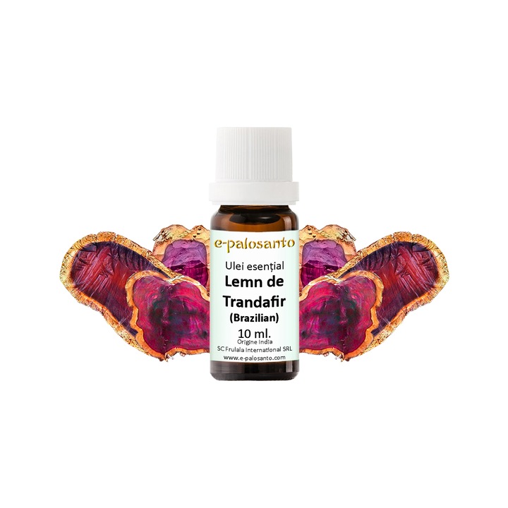 Rózsafa illóolaj (brazil) (Aniba rosaeodora), 100% tisztaságú, 10 ml, aromaterápia, e-palosanto