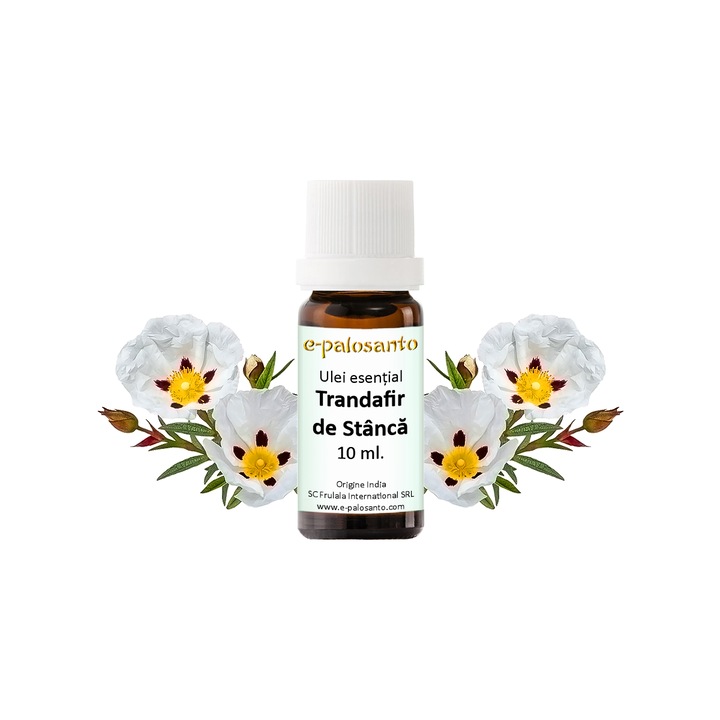 Ulei esential Trandafir de Stanca (Cistus ladaniferus), puritate 100%, 10 ml, aromaterapie, e-palosanto