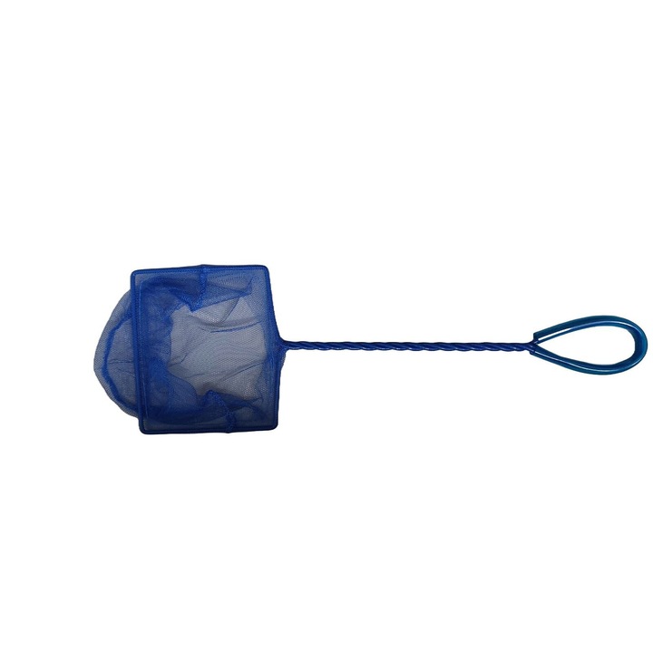 Kék hazug, 17 cm, Vörös daru