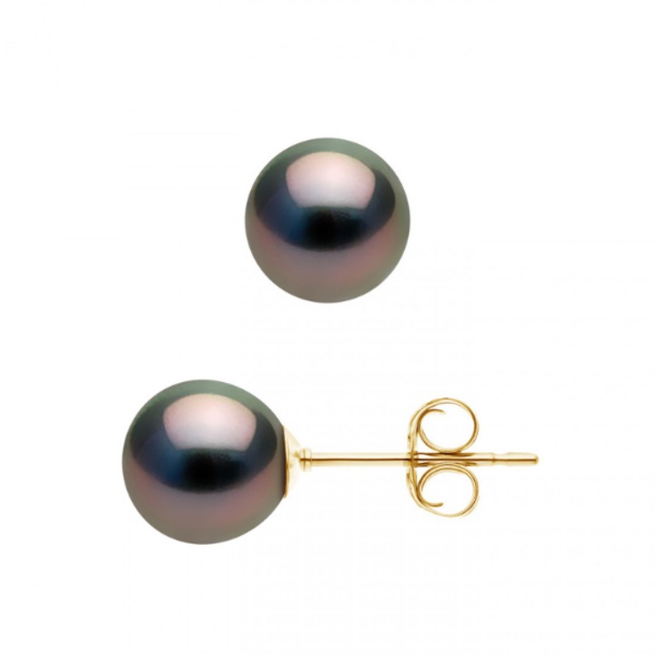 Cercei cu Perle naturale negre de Tahiti, rotunde, 8.0-8.5mm, calitate A+, aur galben