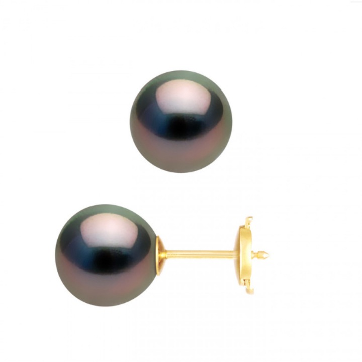 Cercei cu Perle negre de Tahiti, rotunde, 9.0-9.5mm, calitate A+, Aur galben 9k