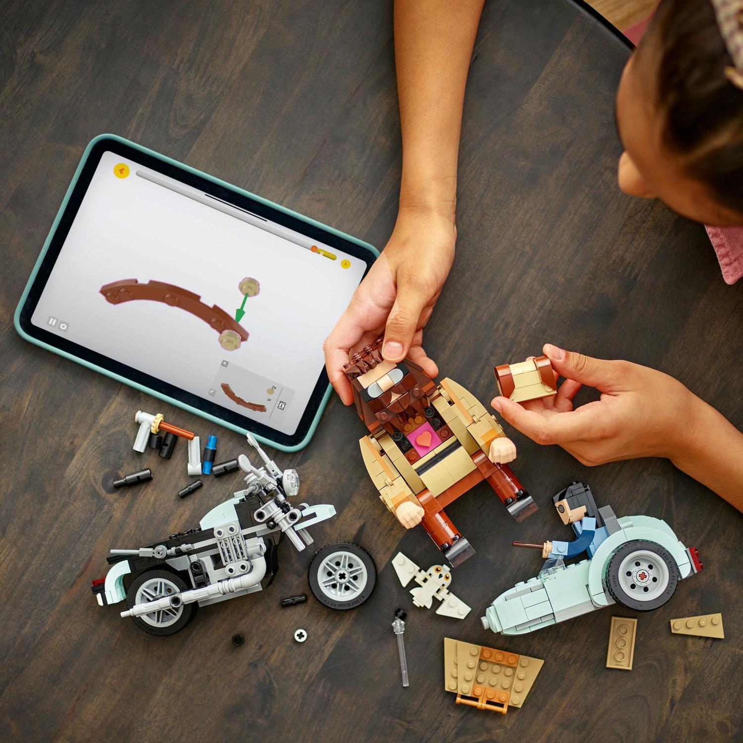 LEGO® Harry Potter TM - Hagrid™ si Harry intr-o tura cu