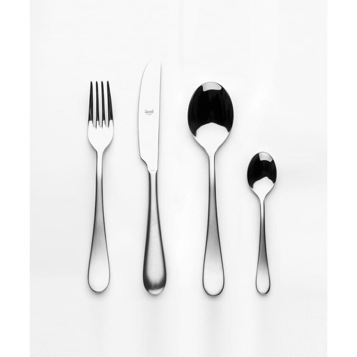 Set tacamuri 24 piese, Mepra, Natura, inox, argintiu, pentru 6 persoane, 25x15x15cm