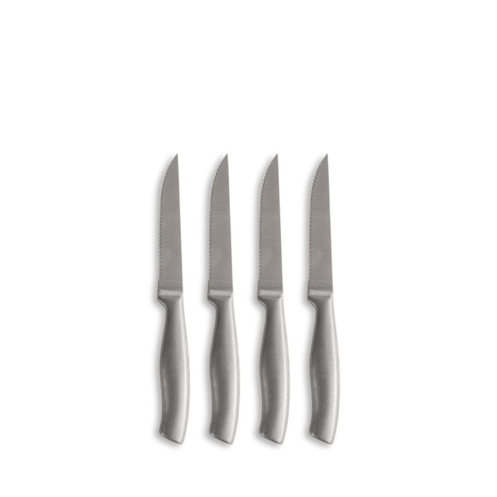 Set 4 cutite pentru friptura, Sagaform, otel inoxidabil, 22,5 cm