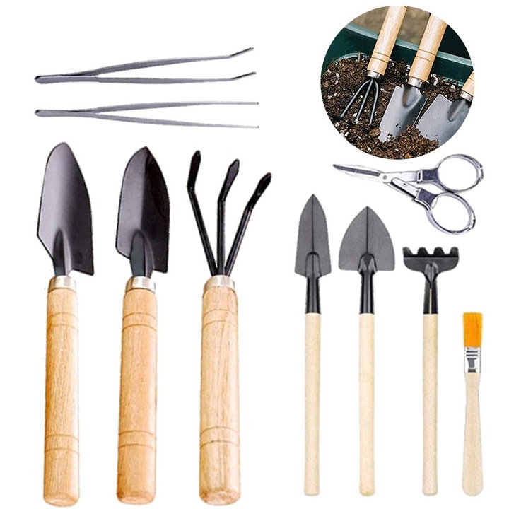 10 db-os mini kertész szerszámkészlet, fém/fa, pozsgás növényekhez