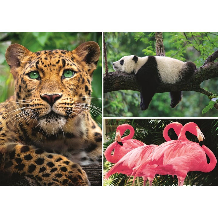 Trefl kirakó, 1000 darabos, 68,3x48 cm