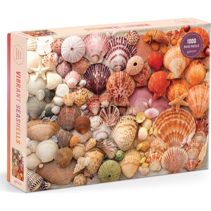 Galison 1000 db-os puzzle - Vibrant Seashells (80608)
