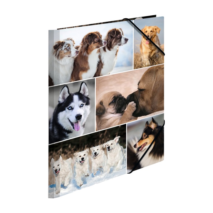 Папка Herma Animals, картонена, A4